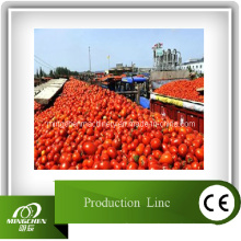 Equipo químico de la línea de producción de tomate